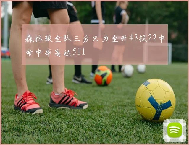 森林狼全队三分火力全开43投22中命中率高达511