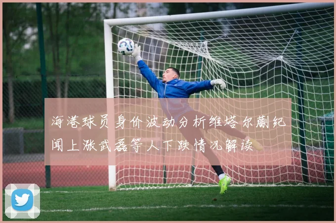 海港球员身价波动分析维塔尔蒯纪闻上涨武磊等人下跌情况解读