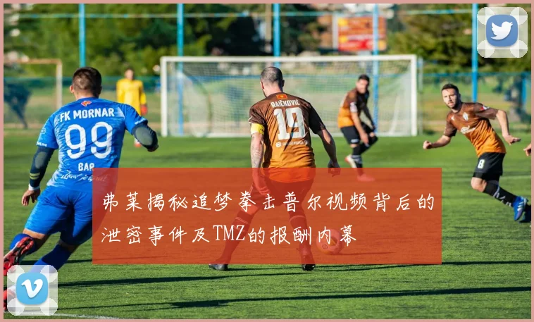 弗莱揭秘追梦拳击普尔视频背后的泄密事件及TMZ的报酬内幕