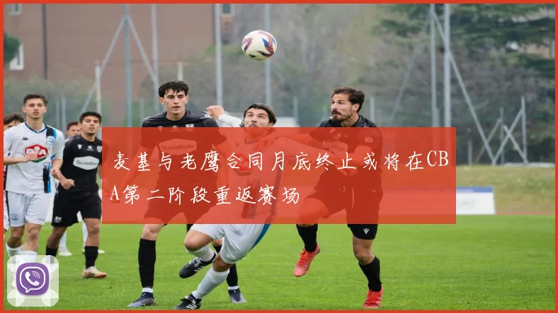 麦基与老鹰合同月底终止或将在CBA第二阶段重返赛场