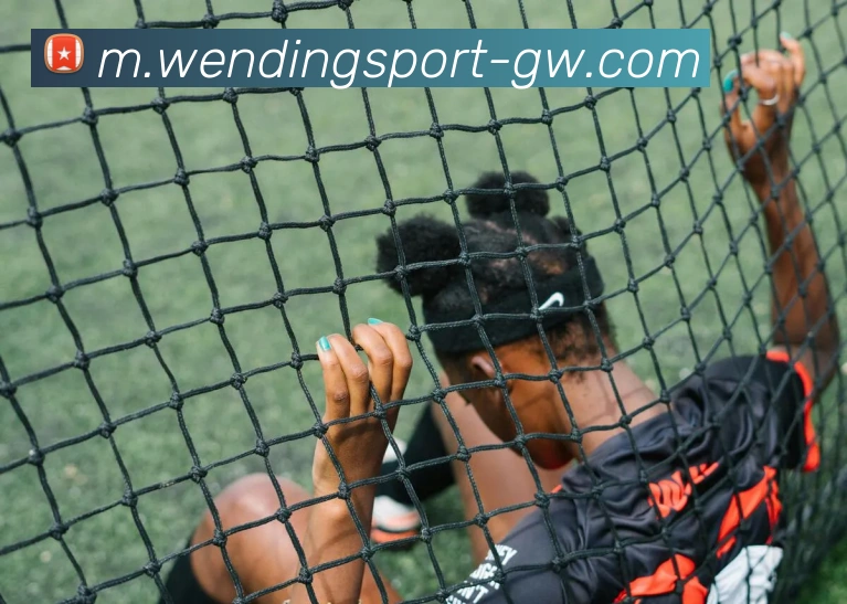 问鼎娱乐平台生态图